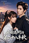 《桑榆遇珩的第二十八年秋》封面