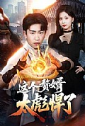 《这个赘婿太彪悍了》封面
