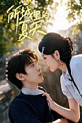 《所城里的夏天》封面