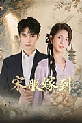 《宋服嫁到》封面