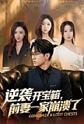 《逆袭开宝箱,前妻一家崩溃了》封面