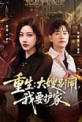 《重生：大嫂别闹，我要护家》封面