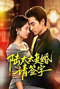 《陆太太复婚请签字》封面
