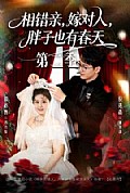 《相错亲,嫁对人,胖子也有春天第二季》封面