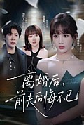 《离婚后前夫后悔不已》封面