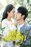 《肖先生你的马甲掉了》封面