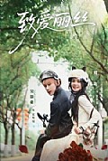 《致爱丽丝》封面