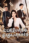 《公公甩资让我离婚,前夫婚礼上我惊艳全场》封面