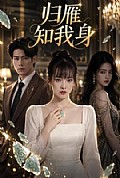 《归雁知我身》封面