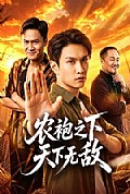 《农袍之下天下无敌》封面