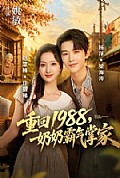 《重回1988,奶奶霸气掌家》封面