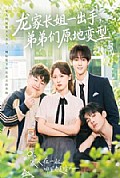 《龙家长姐一出手,弟弟们原地变型》封面