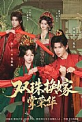 《双珠换嫁掌荣华》封面