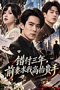 《错付三年,前妻求我高抬贵手》封面