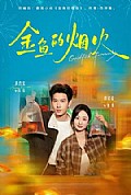 《金鱼的烟火》封面