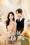 《苏小姐,劫个婚》封面