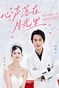 《心声落在月光里》封面