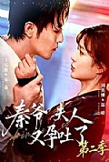《秦爷夫人又孕吐了第二季》封面