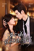 《进个城,就和大佬闪婚了》封面