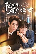 《陆先生,领个证吧》封面