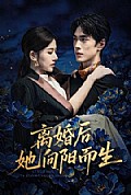 《离婚后她向阳而生》封面