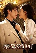 《闪婚!高冷总裁真香了》封面