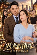 《迟来的情缘,董事长的暖心妻》封面