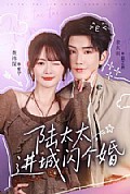 《陆太太,进城闪个婚》封面