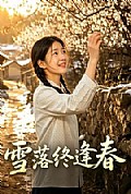 《雪落终逢春》封面