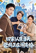 《回家认亲当天,爸妈正在闹离婚》封面
