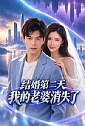 《结婚第二天,我的老婆消失了》封面