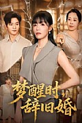 《梦醒时,辞旧婚》封面