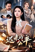 《迟来的公平》封面