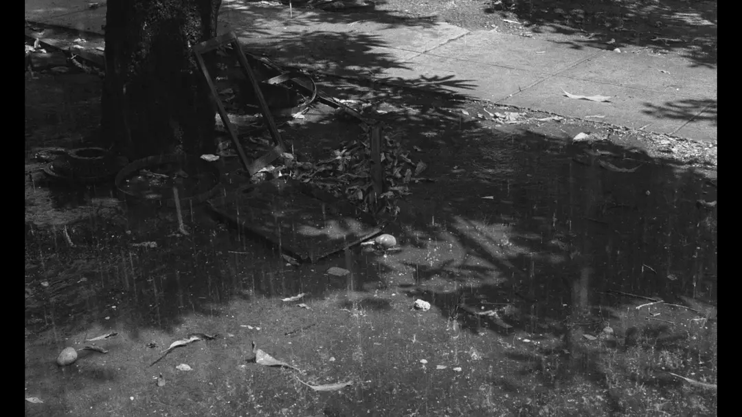 低度开发的回忆剧照2