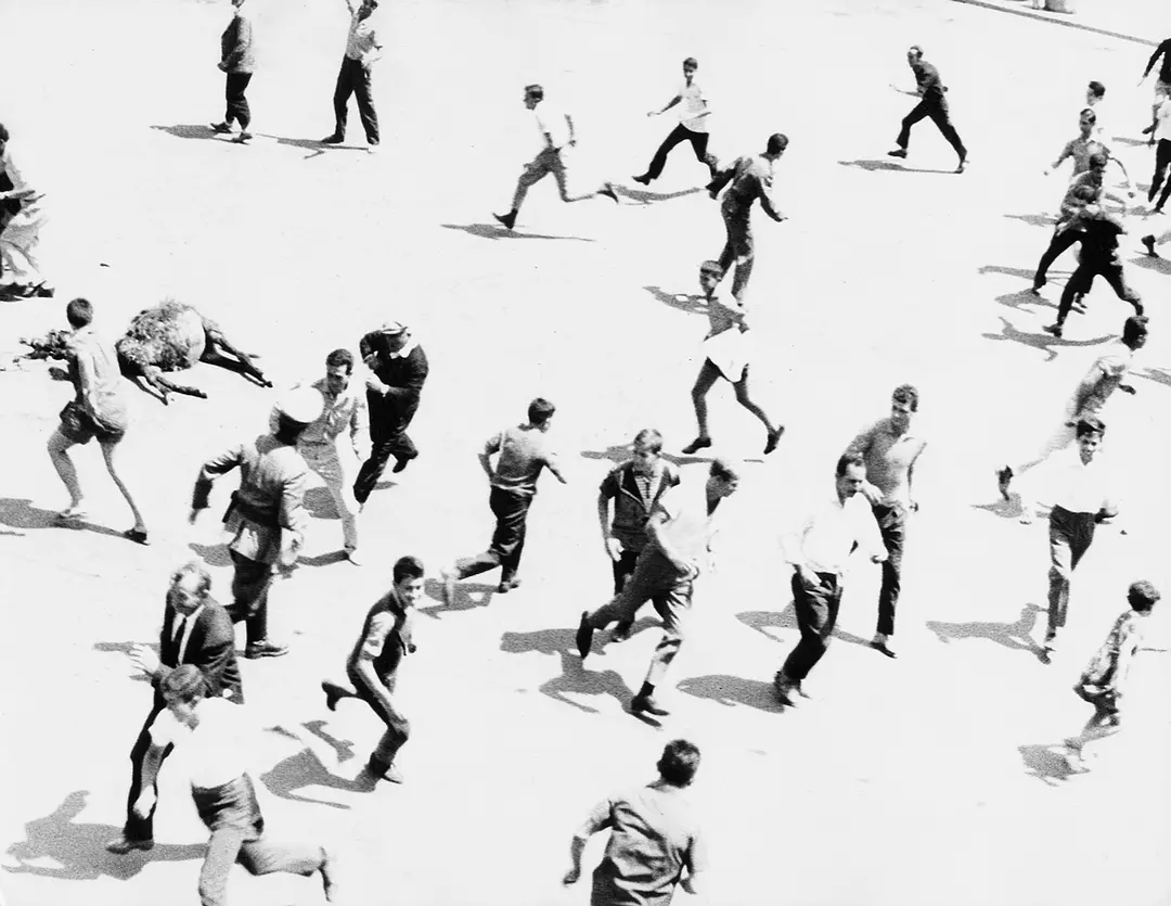 生命的讯息剧照1