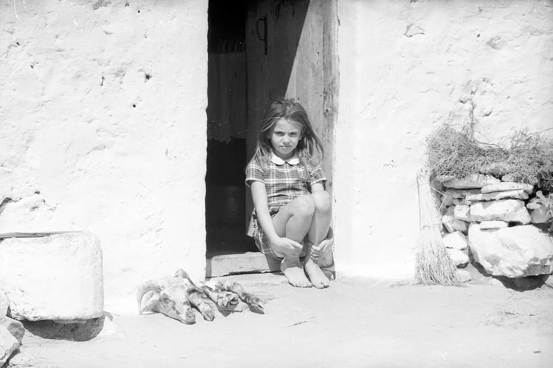 生命的讯息剧照2