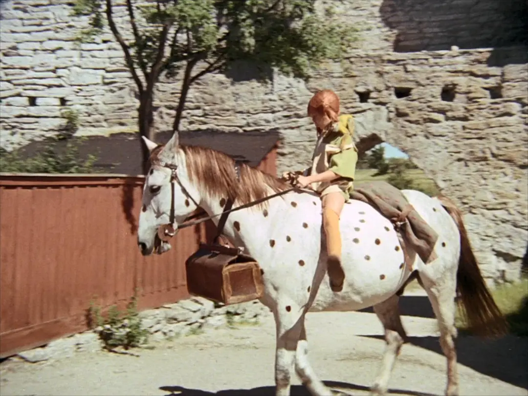 长袜子皮皮剧照1