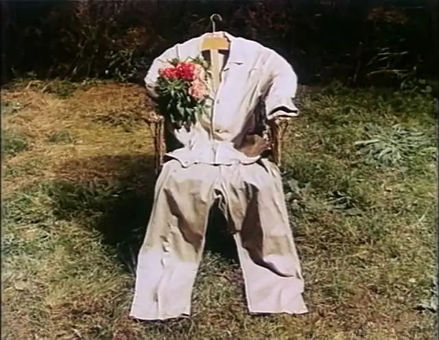 与魏茨曼野餐剧照1