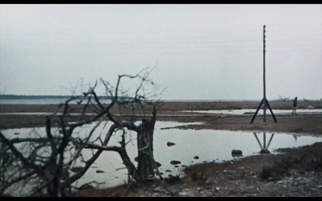 安娜的情欲剧照2