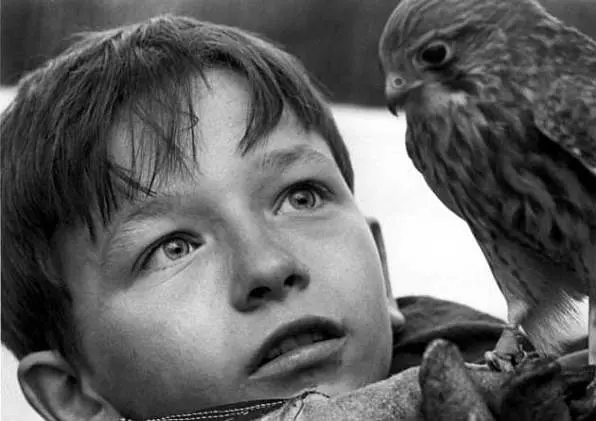 小孩与鹰剧照1