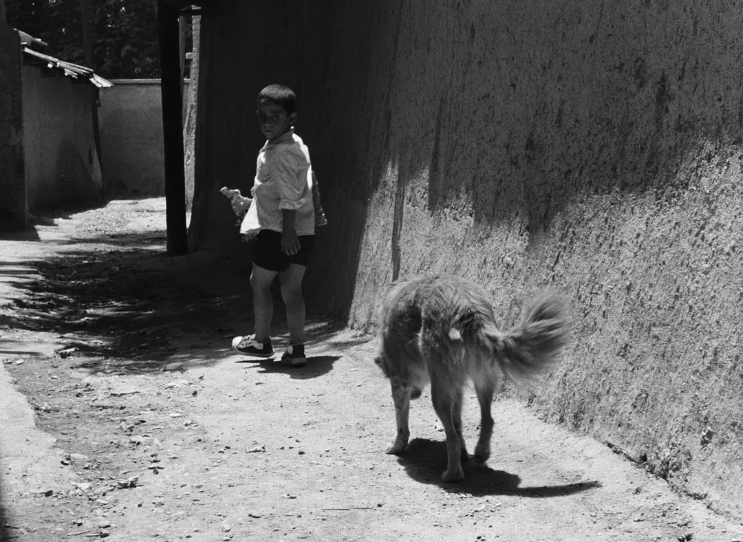 面包与小巷剧照3