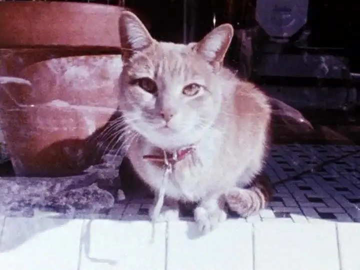 笔记·日志·素描剧照2