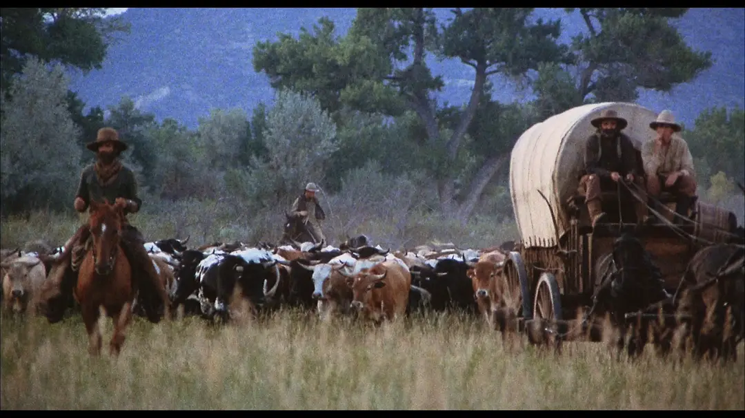 牛仔路漫漫剧照1