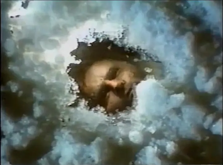 野性的呼唤剧照2