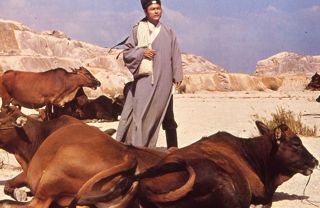 迎春阁之风波剧照1