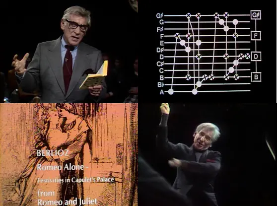 未作回答的问题：伯恩斯坦哈佛六讲剧照2