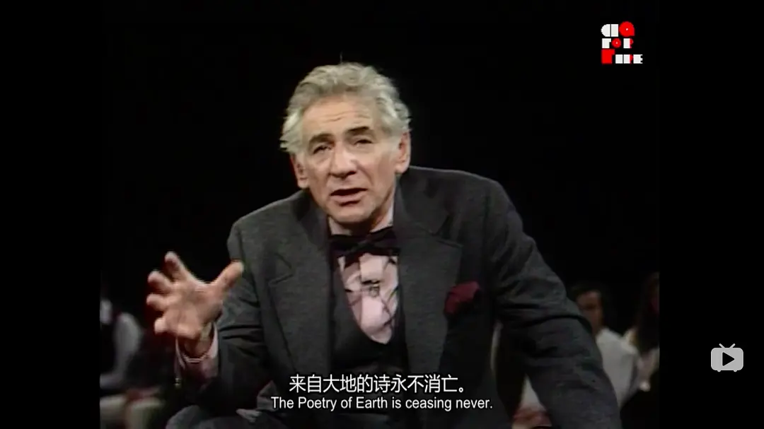 未作回答的问题：伯恩斯坦哈佛六讲剧照3