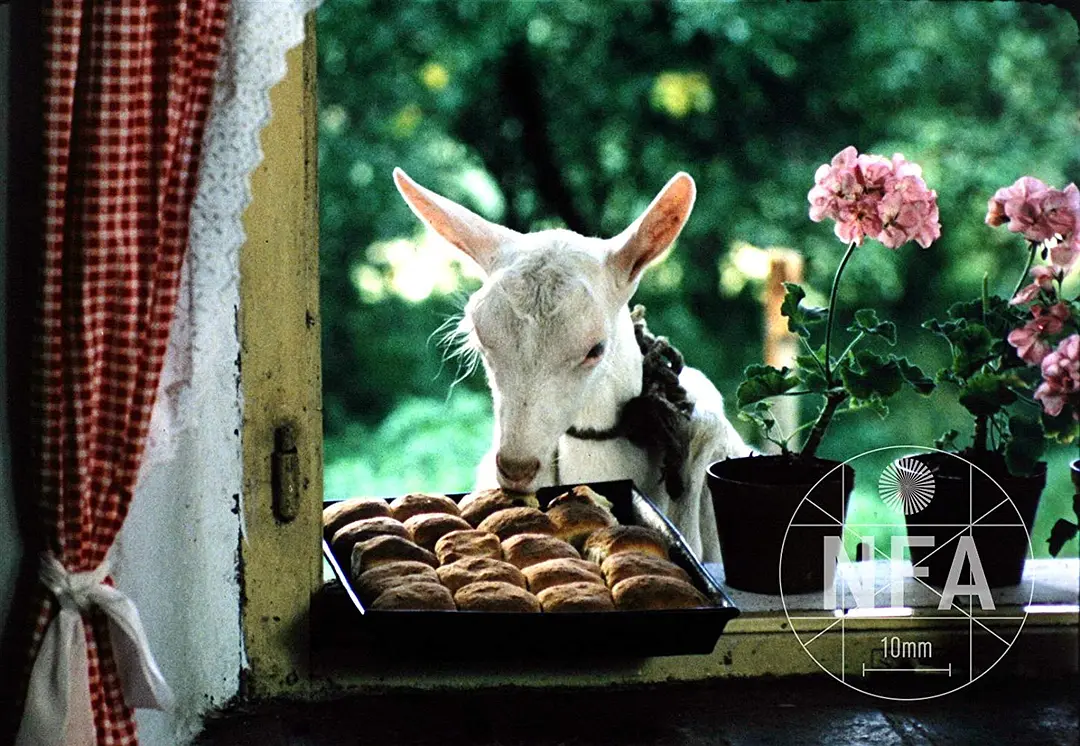 森林边缘的寂寞剧照1