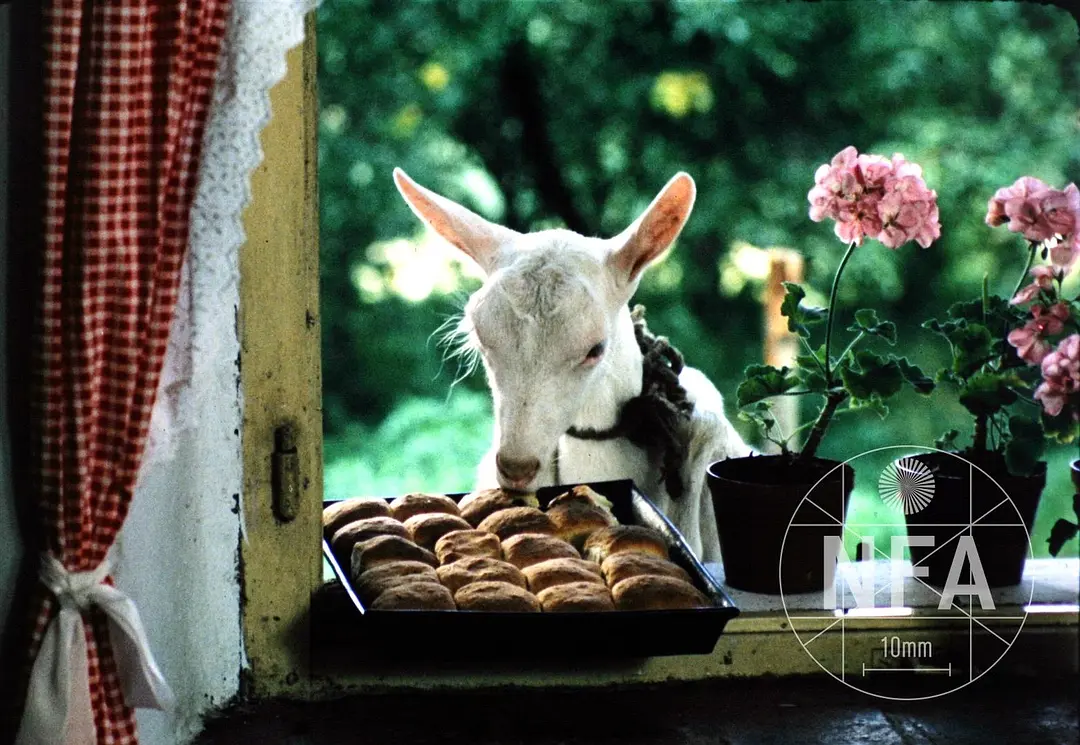 森林边缘的寂寞剧照3