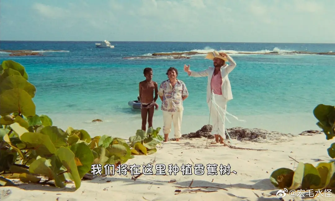 漂流海龟岛剧照3